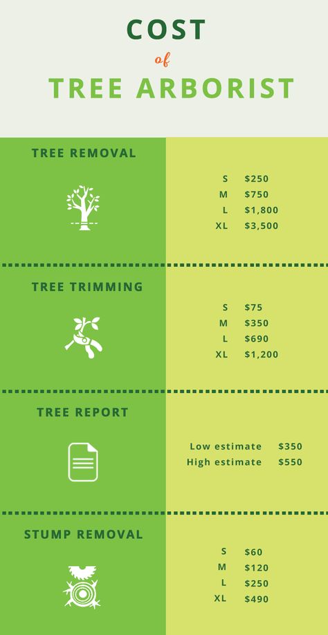 Arborist Logo, Arborist Climbing Trees, Tree Climbing Equipment, Tree Removal Cost, Property Preservation, Arborist Climbing, Tree Arborist, Stump Grinding, Tree Removal Service