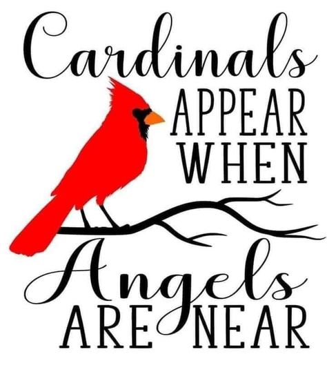 Cardinal Poem, Cardinal Quotes, Memory Lantern, Cardinal Birds Art, Christmas Thoughts, Gingerbread Christmas Tree, Laser Projects, Birds Art, Spiritual Prayers