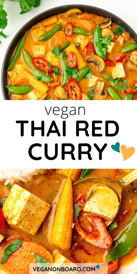 Vegan Red Curry Recipe, Thai Curry Recipes Vegetarian, Red Curry Tofu, Vegan Thai Red Curry, Creamy Coconut Sauce, Vegan Thai Curry, Thai Red Curry Recipe, Red Curry Recipe, Spicy Vegetarian Recipes