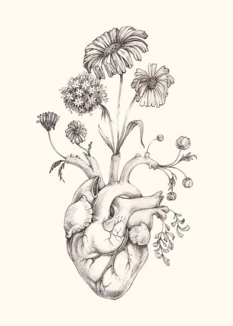 Flower love Heart Drawing, 5x7 Print, Human Heart, Skin Art, 8x10 Print, Anatomy Art, Heart Art, Heart Tattoo, Original Drawing