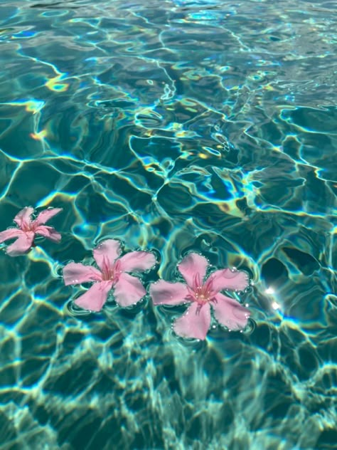 Blue Hawaii Aesthetic, Coconut Wallpaper, Summer Prints Wallpaper, Flowers In Water, Pretty Phone Backgrounds, Macbook Air Wallpaper, Pretty Wallpaper Ipad, Phone Widgets, Cute Summer Wallpapers