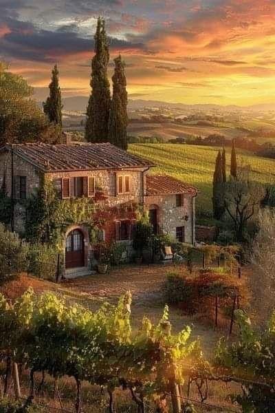 Tuscan Villa Exterior, Villa Designs, Tuscany Style, Tuscan Style Homes, Tuscany Landscape, Italian Country, Italy Landscape, Toscana Italia, Italian House