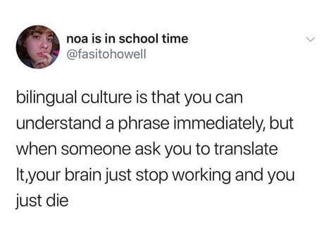 Bilingual? More like BYElingual Bilingual Humor, Learning Languages Tips, Twitter Posts, Lol Memes, Memes Br, Stop Working, School Humor, Learn French, What’s Going On