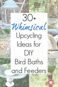 Diy Bird Bath Ideas, Bird Baths Homemade, Bird Bath Ideas, Hanging Bird Bath, Best Bird Feeders, Bird Feeder Poles, Glass Bird Feeders, Bird Feeding Station, Homemade Bird Feeders