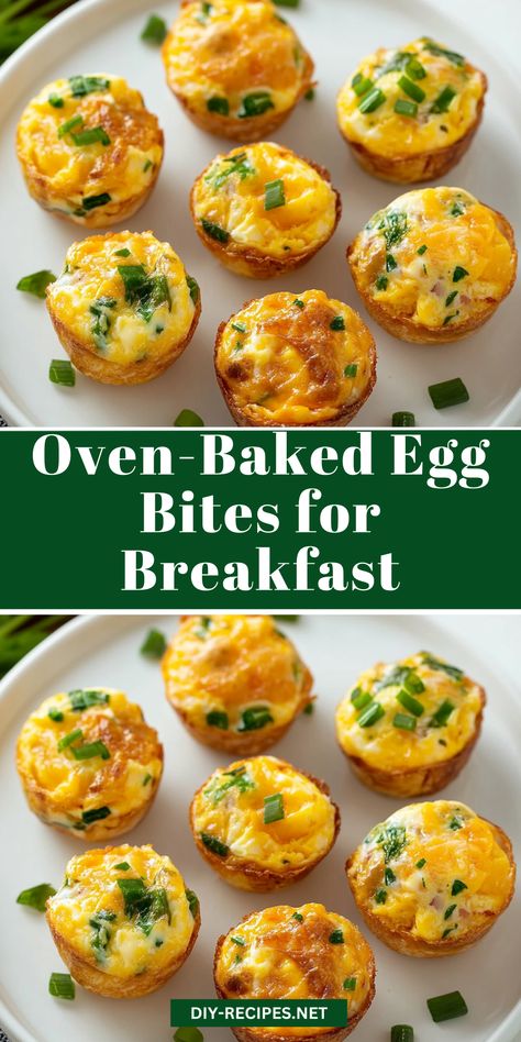 Make these oven-baked egg bites with fresh veggies and cottage cheese for a quick and easy breakfast option everyone will love! Microwaveable Egg Bites, Egg Bites Breakfast Recipes, Easy Breakfast Egg Bites, Cottage Egg Bites, Brunch Egg Bites, Moist Egg Bites, Egg Bites At Home, Morning Egg Bites, Egg Bites Made With Cottage Cheese