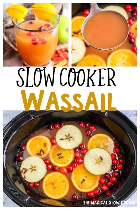 Make a giant batch of wassail in your crockpot for your guests. This flavorful drink has three kinds of juice and plenty of holiday spice, perfect for any get-together. - The Magical Slow Cooker Wassail Recipe Crockpot, Slow Cooker Drinks, Wassail Recipe, Magical Slow Cooker, The Magical Slow Cooker, Best Slow Cooker Recipes, Roasted Apples, Recipes Crock Pot, Easy Foods