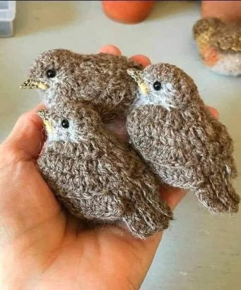 Amigurumi Bird Tutorial - Crochet Wren Pattern - Crochet a little Bird - Little Bird Amigurumi Crocheted Birds, Baby Sparrow, Crochet Bird Patterns, Crochet Birds, Pola Amigurumi, Bird Patterns, Love Crochet, Knitted Toys, Yarn Crafts