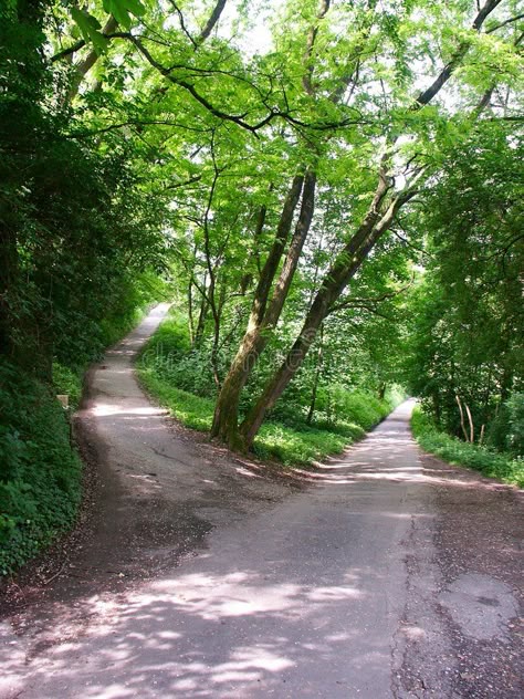 Crossroads in a Forest. The quiet intersection of two small roads or paths in a , #AD, #intersection, #small, #quiet, #Crossroads, #Forest #ad Road With Trees Pathways, Crossroads Aesthetic, Hekate Altar, Road In Forest, Road Intersection, Golden Castle, Forest Paths, Two Paths, Cross Road