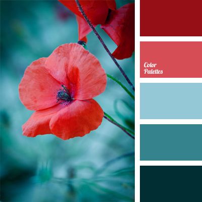 The red of poppies looks very contrasting on a deep blue background. This color solution will look good in a living room.. Color Palate, Design Seeds, Color Balance, Kitchen Paint, Colour Board, Paint Schemes, Colour Palettes, Ideas Kitchen, Colour Schemes