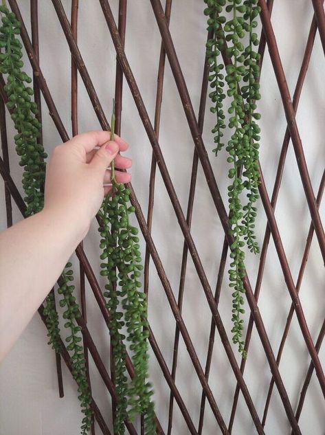 Bamboo Wall Decor, Bamboo Lattice, Vining Plants, Wall Hanging Decorations, Bamboo Diy, Chic Hat, Lattice Wall, False Wall, Indoor Plant Wall