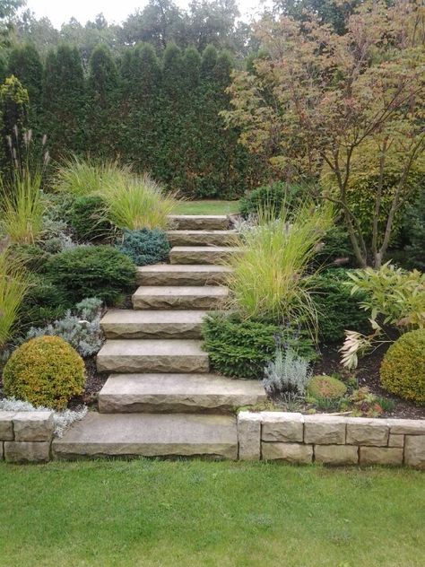 Garden Ideas Sloped Yard, Tier Garden Ideas, Tier Garden, Sloping Garden, Sloped Backyard Landscaping, Landscape Backyard, Landscaping On A Hill, Sloped Yard, Sloped Backyard