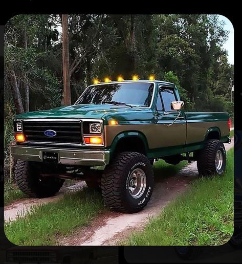 Bullnose Ford Truck, Old Ford Square Body Trucks, Old Pickup Trucks For Sale, Ford Square Body Trucks, 1988 Ford F250, Pick Up Trucks 4x4, 80s Ford Trucks, 1996 Ford F250 Diesel, Bullnose F150