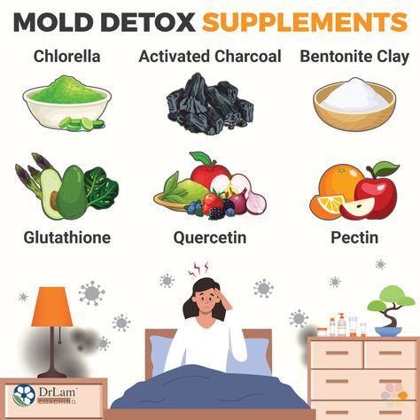 When You Need a Mold Detox and How to Get Started Mold Detoxing, Adrenal Fatigue Recovery, Fever Symptoms, Detox Supplements, Mold Exposure, Adrenal Support, Adrenal Health, Allergy Symptoms, Food Sensitivities