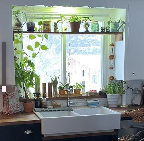 Kitchen Window Side Shelves, Plant Home Design, Plant Rod Window, Plant Shelves Above Window, Plant Table Indoor Window Diy, In Window Plant Shelf, Plant Shelf Across Window, Hanging Plant Shelf In Front Of Window, Above Cabinet Plants