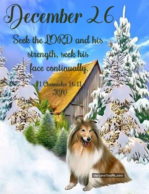 26th December Quotes, December 26 Bible Verse, December 26 Blessings, December 26 Quotes, December Verses, December Blessings, December Scriptures, Christmas Greetings Quotes, December Images