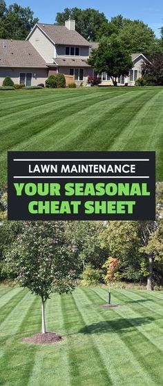 Spring Lawn Care, Lawn Care Schedule, Mulch Landscaping, Lawn Ideas, Lawn Care Business, Yard Maintenance, Aerate Lawn, Diy Lawn, Lawn Care Tips