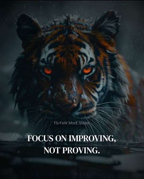 Tiger Dp, Tiger Attitude, Wolf Mentality, Warrior Mentality, Self Motivational Quotes, Faded Quotes, Motivation Picture, Rule Of A Lady, Selfish People Quotes