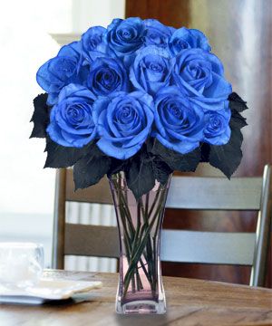 blue roses Language Of Flowers, Blue Roses, Love Rose, Blue Rose, Love Flowers, My Flower, Beautiful Roses, Pretty Flowers, Rose Flower