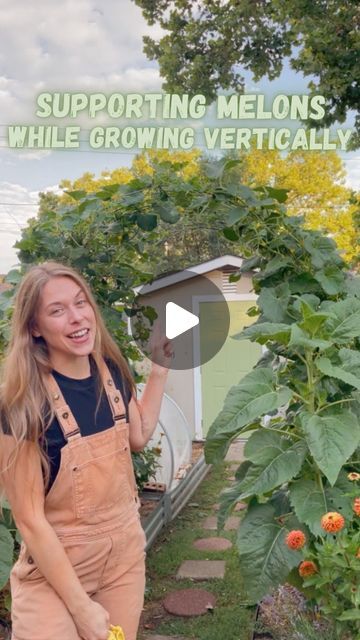 Breanna Ellis on Instagram: "Growing cantaloupe is a favorite of mine, & melon cradles help me out so much while growing vertically! Not everything I grow vertically needs extra support but some melons or heavy squashes do. These are from @bootstrapfarmer I have them both in a small and large! 
Not sponsored, but I do have a affiliate link I’ll put in my stories/saved “LINK” stories in my bio if you’re interested in them. 

#verticalgarden #verticalgardening #gardening #backyardhomestead #backyardgardening #growyourfood #cantaloupe #melon #support" Growing Melons Vertically, Growing Melons, Trellis Design, Vertical Garden, Cool Tools, Melon, Gardening Tips, Farmer, Plants