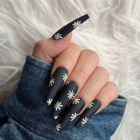 Nail Designs Long Black, Daisy Nails Acrylic, Winter Nails Matte, Nails Daisy, 2023 Nail, Nails Matte, Elegant Nail Designs, Cute Spring Nails, Daisy Nails