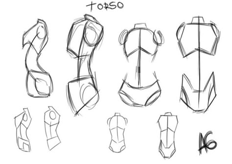 Art Reference Body Human Anatomy, Female Anatomy Drawing Basic Shapes, Body Anatomy Shapes, Torso Guidelines, Body Reference Shapes, Anatomy In Shapes, Woman Anatomy Drawing Reference, How To Draw A Torso Female, How To Draw Torso Female