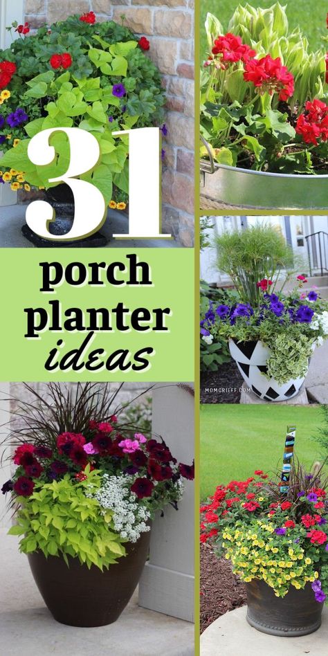 Are you looking for ideas and inspiration for your summer planters? These are all flower pots that I have personally seen and photographed. Patio Planter Ideas Plant Pots, Porch Planter Ideas, Front Porch Flower Pots, Patio Flower Pots, Porch Planter, Potted Plants Patio, Planter Arrangements, Front Porch Flowers, Porch Plants