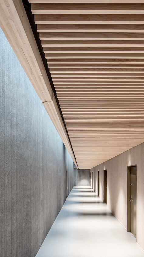 Wood Slat Ceiling, Baffle Ceiling, Architecture Ceiling, Wooden Ceiling Design, Timber Battens, Corridor Design, Timber Slats, Timber Ceiling, Ceiling Treatments