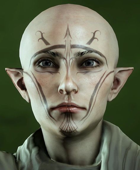 Tattoo On Face, Elf Tattoo, Facial Tattoos, Baldurs Gate, Elf Makeup, Face Tattoos, Good Lord, Character Reference, Dragon Age