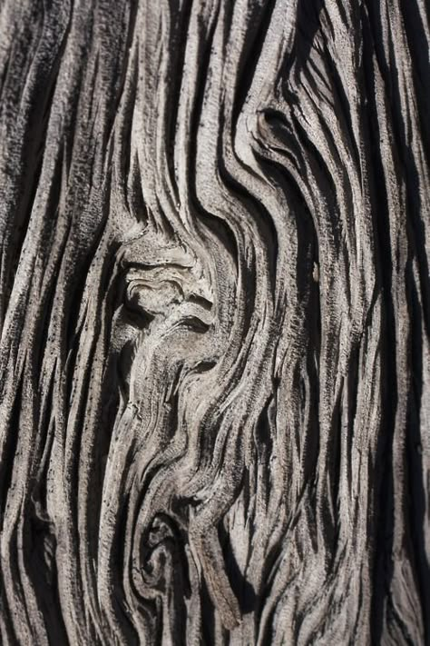 Natural wood with sculptural patterns & textures; tree bark; organic form; nature's artwork Tree Bark Texture, Tree Textures, Elements And Principles, Texture Inspiration, Soyut Sanat Tabloları, Concrete Crafts, Nature Artwork, Trendy Tree, Organic Pattern