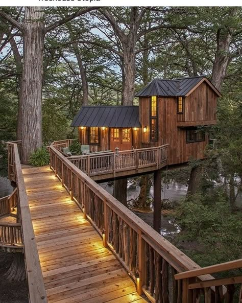 Cozy Tree House, Adult Tree House, Treehouse Living, Luxury Tree Houses, Treehouse Masters, Beautiful Tree Houses, Normal House, Tree House Plans, Cool Tree Houses