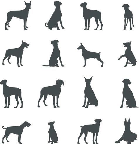 Dobermann dog silhouettes, Dobermann silhouette, Dobermann svg, Dobermann vector Doberman Svg Free, Doberman Stencil, Doberman Silhouette, Dog Business Ideas, Mini Doberman, Doberman Tattoo, Painted Dogs, Dog Silhouettes, Pet Services