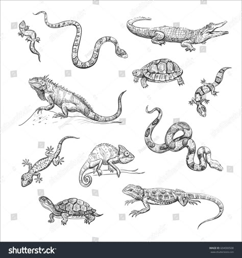 Cartoon Lizard, Lizard Tattoo, Black Tattoo Cover Up, Animals Drawing, Australian Style, Hand Drawings, Girl Drawing Sketches, Snake Art, Animation Art Sketches