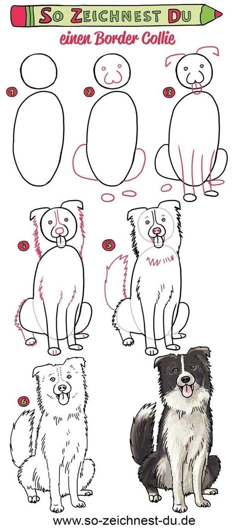 How to Draw a dog for beginners easy | #dog #dogdrawing #howtodrawadog Border Collie Tattoo, Dog Drawing Tutorial, Border Collie Art, 강아지 그림, 캐릭터 드로잉, Pencil Art Drawings, Dessin Adorable, Cute Easy Drawings, Dog Drawing