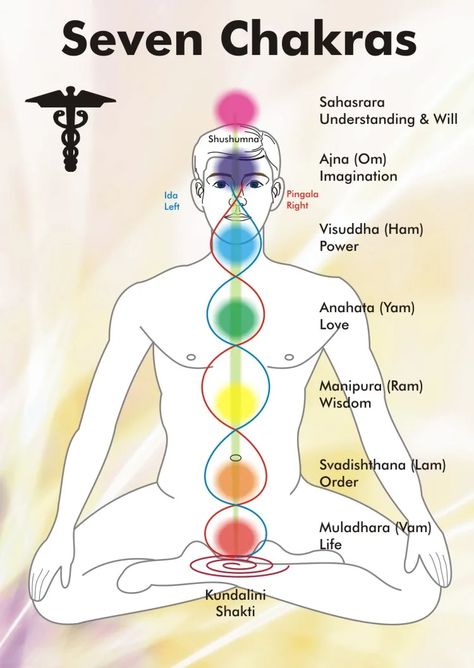 7 Chakras: The Basics and Beyond - HubPages Chakras Meaning, 7 Chakras Meaning, Chakras Colors, The Body Systems, Open Chakras, Spiritual Chakras, How To Open Chakras, Chakras For Beginners, Chakra Chart