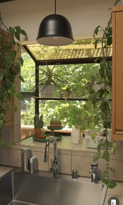 Kitchen Window Garden Indoor, Kitchen Window Plant Shelf Over Sink, Garden Window Kitchen Decoration, Herb Window Kitchen, Garden Windows In Kitchen, Kitchen Window Above Sink Ideas, Bay Window Kitchen Sink, Kitchen Sink Bay Window, Kitchen Bay Window Over Sink