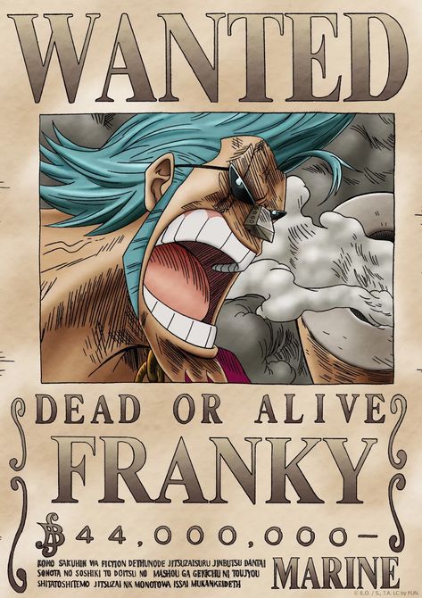 Zoro Usopp, Cp9 One Piece, Wanted One Piece, One Piece Franky, Sanji Luffy, One Piece Bounties, One Piece Logo, One Piece Chopper, Female Anime Characters