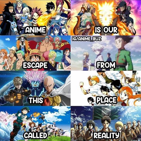 Anime Quetos, Anime Fusion, Anime Info, Anime Rules, Anime Websites, Anime Tutorial, Escape Reality, Anime Wallpaper Phone, My Hero Academia Memes