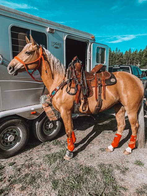 Barrel Racing Aesthetic, Barrel Racing Tack Rodeo, Western Horse Riding, Horsey Life, Western Horses, Triple T, Cute Horse Pictures, Barrel Racing Tack, Palomino Horse