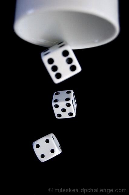 Dice Photography Art, Dice Photography, Dice Aesthetic, Rolling Dice, Gambling Tattoo, Aesthetic Shop, Gambling Gift, Photography Contests, Photo Challenge