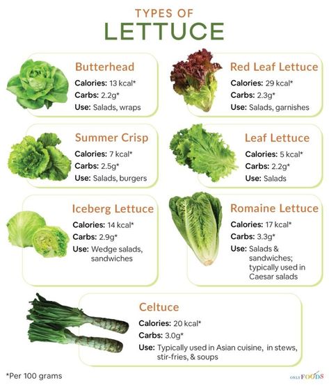 7 Different Types of Lettuce with Pictures Lettuce Types, Types Of Lettuce, Red Leaf Lettuce, Types Of Salad, Green Lettuce, Wedge Salad, Vegetable Tray, Grape Salad, Salad Ideas