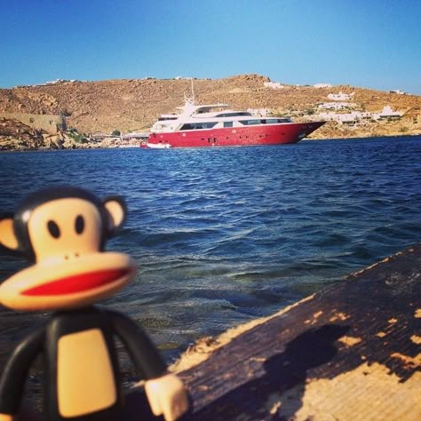 Julius and @daskruegs catching some rays in Mykanos! #ItsaPFWorld Paul Frank Pfp, Paul Frank Monkey, 2013 Swag Era, Paul Frank, Rawr Xd, Spotify Covers, Foto Ideas Instagram, Silly Pictures, Playlist Covers