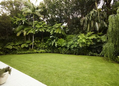 Australian Landscape Architecture, Landscape Ideas Tropical, Tropical Trees Landscaping, Office Landscape Design, Backyard Trees Landscaping, Garden Design Tropical, Villa Landscape Design, Palm Springs Landscaping, Tropical Landscape Design