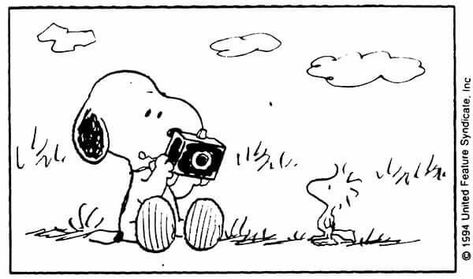 Snoopy Taking Pictures, Snoopy With Camera, Snoopy Camera, Snoopy Walking, Woodstock Tattoo, Snoopy Baby, I Had To Leave, 2025 Board, Christmas Snoopy