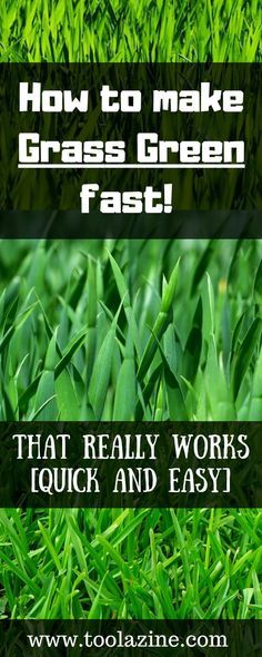 How to make grass green fast [Quick and Easy] If you have a lawn, and most people do, it looks best when it is a lush green color. It looks more appealing and can improve the whole feel of your garden. The good news is that you can make your grass greener fast. In just a few days you can see a noticeable difference in the color of your lawn. Diy Grass Fertilizer Green Lawn, Grow Grass Fast, Garden Maintenance Schedule, Lawn Makeover, Grass Fertilizer, Lawn Repair, Growing Grass, Lawn Fertilizer, Diy Lawn