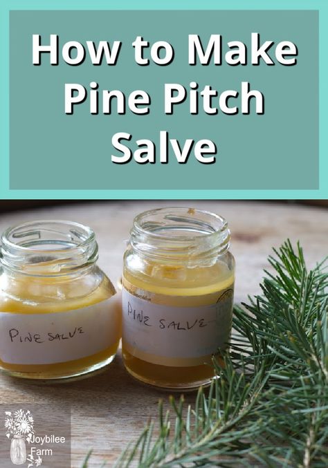 Pine Pitch Salve, Pine Salve, Herbal Salve Recipes, Pine Pitch, Drawing Salve, Farm Diy, Salve Recipes, Herbal Salves, Traditional Drawing