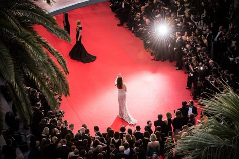 Red Carpet Aesthetic, Cannes Film Festival 2015, Cannes Red Carpet, Hollywood Red Carpet, Life Vision Board, Sean Penn, Idris Elba, Tilda Swinton, Anthony Hopkins