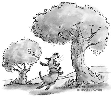 Barking up the wrong tree 450 Barking Up The Wrong Tree, Dogs Barking, Drawing Dogs, Word Of The Week, Dog Tree, Tree Illustration, Dog Barking, Dog Art, Moose Art