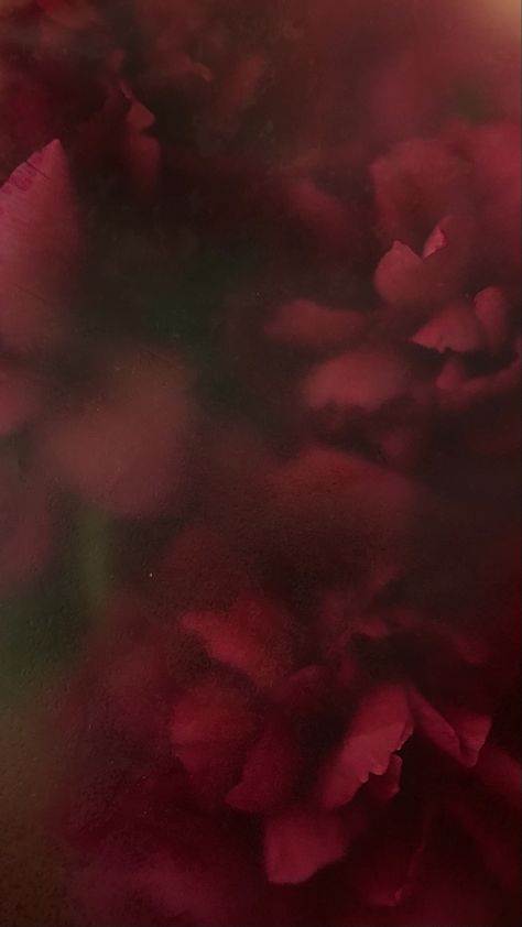 Background Flowers, Dark Red Wallpaper, Floral Wallpaper Iphone, Flowers Background, Simple Phone Wallpapers, Minimalist Wallpaper, Red Wallpaper, Pretty Wallpapers Backgrounds, Cute Wallpaper Backgrounds