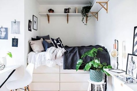 19 Brilliant IKEA Storage Hacks for Small Bedrooms [Easy DIY] Hacks For Small Bedrooms, Ikea Studio Apartment, Loft Bed Ideas For Small Rooms, Ikea Bedroom Ideas, Adult Loft Bed, Ikea Small Spaces, Cucumber Trellis Diy, Trellis Diy, Murphy Bed Ikea