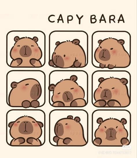 Capybara❤️ Cute Easy Doodles, Yas Queen, Images Kawaii, Kitty Cartoon, Seni Dan Kraf, Cute Animal Drawings Kawaii, Cute Doodles Drawings, Cute Kawaii Drawings, Cute Doodle Art